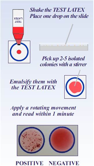 width=